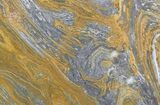 Polished, Mesoproterozoic Stromatolite (Conophyton) - Australia #65495-1